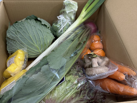 【たくあん2個入】畑より採りたて直送！野菜セット Ｂ（8品）