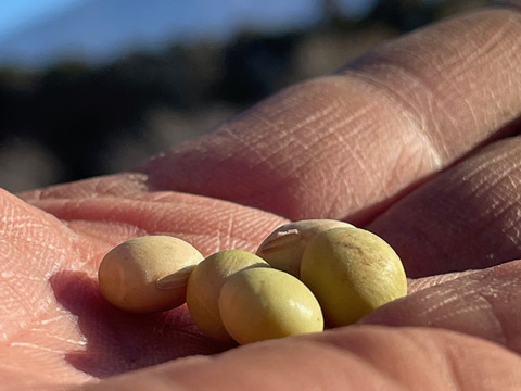 富士山麓  自然栽培野菜セット（なにもいれない）  ８品+富士山ソイヌードル１パック