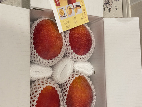 伊江島産マンゴー（家庭用・2kg・3〜6個入り）