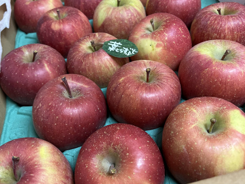 🍎5キロ🍎葉とらずふじ【家庭用】１３玉～２３玉 青森りんご リンゴ 商品ID165766