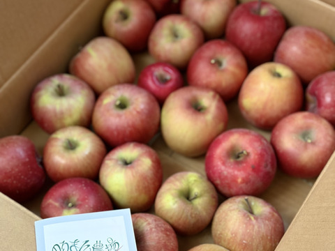 【今年もやります！】ジュース、ジャムなどに！農薬50%減-加工用ふじ5kg