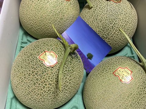 ゆうひ・おおぞら3542　訳あり品　富良野産赤肉メロン（4～7玉） 訳あり品 富良野産 赤肉メロン 大箱（4～7玉）家庭用！：北海道