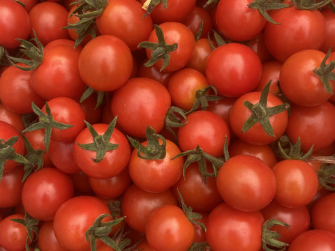 少人数で食べ切れる！【6〜7品目】野菜セット　朝どり新鮮！農薬・化学肥料不使用栽培