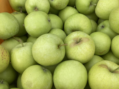 ラスト1箱2種盛！お試しラフランス3キロ＋訳あり王林3キロ　合計6キロ以上。　農薬半減栽培で安心安全