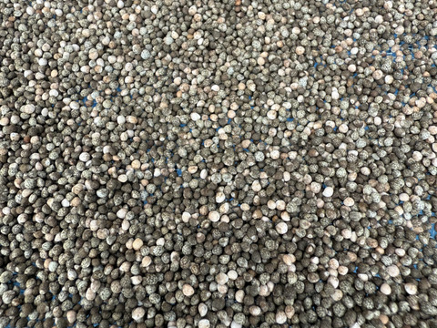 エゴマの実　群馬県東吾妻町産　100g