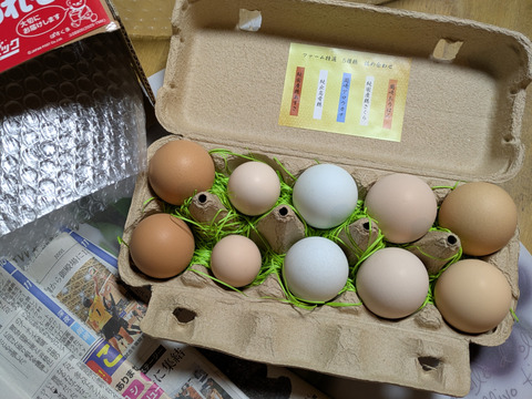 【大好評につき継続販売】スペシャル5種食べ比べ20個セット！富士山の麓でのびのび育ったたまご【食べチョクアワード入賞】