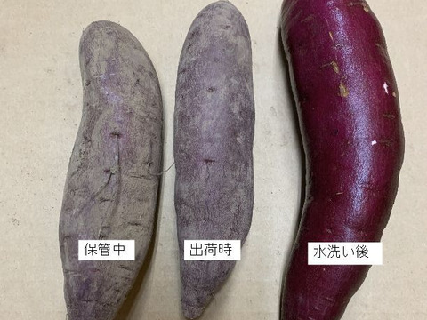 自家育苗・手掘り！　紅はるか　S~2Lサイズ混合　約4.5kg