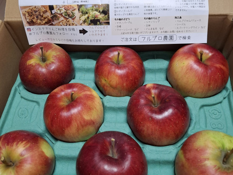 【家庭用】シナノスイート 約2.5kg 6-14玉 やさしい甘さでジューシー！ 順次発送中 訳あり#NAS0B025