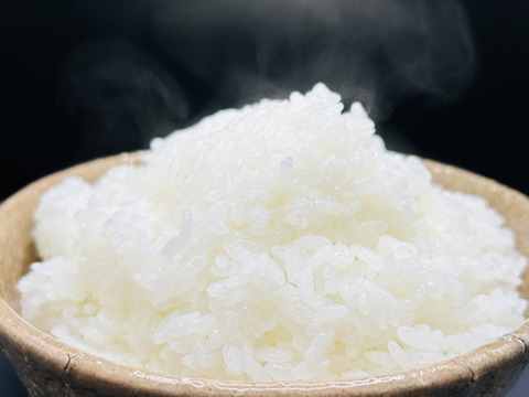 令和６年産　にじのきらめき　白米５Kg 【福岡の農家直送】