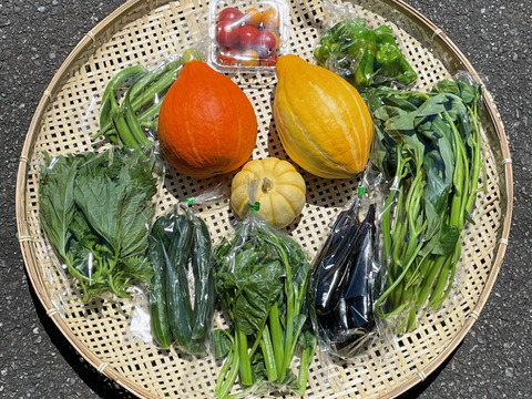 旬の野菜セット(7~10品目)100サイズ