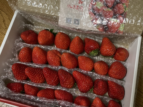 《完熟!いちご狩り気分セット》お家で【食べ比べ】♪ 埼玉県羽生市産【いちご食べ比べ】