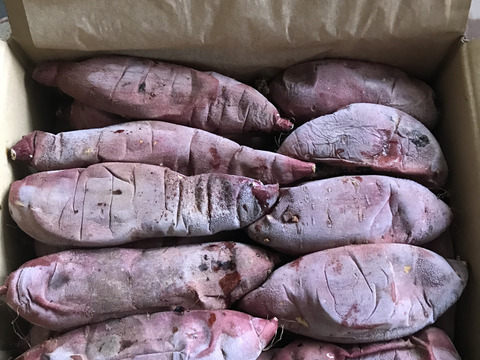 【冷凍2箱セット】茂賀屋の焼き芋2㎏＋α×2箱