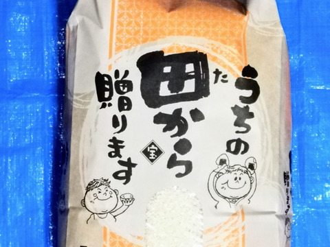 ⚫艶々、ピカピカの銀シャリ！特別栽培米の新米5kg、埼玉県産コシヒカリをご賞味下さい。