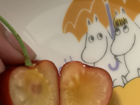 【訳あり】ご家庭用‼︎数量限定‼︎コスパ抜群‼︎1kg‼︎お買い得‼︎東根産佐藤錦