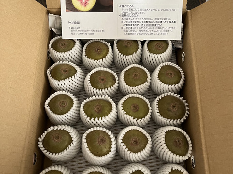 【極甘！】 キウイフルーツ紅妃 中心が紅い珍品種！