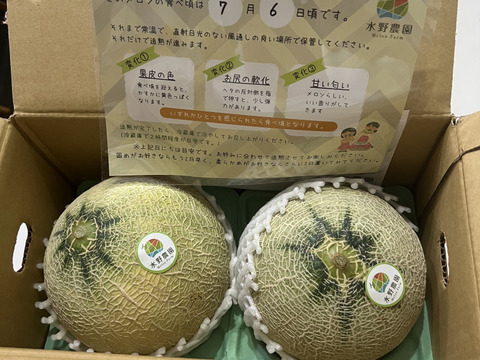 【金賞受賞】シルキーメロン『ロピア』1.6kg×２玉