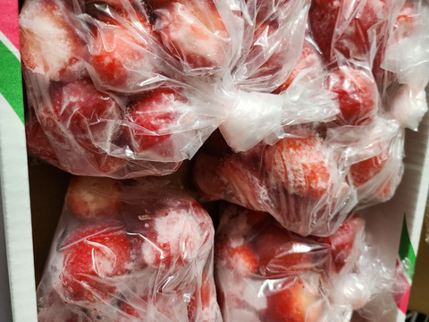 ☆5月中セール実施中☆おうちでスムージー！完熟朝摘み冷凍いちご（スカイベリー）2000g