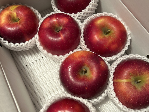 【りんご】福島県オリジナル品種！酸味が美味！「べにこはく3ｋｇ」（フリーサイズ）