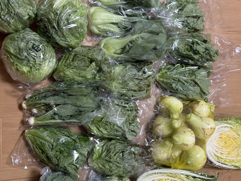 福袋、野菜セット