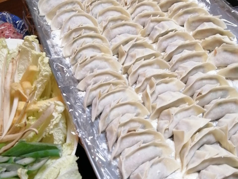 ご家庭で使いやすい！鹿肉ミンチ500g 【ハンバーグ】【餃子】【ジビエ】熨斗対応可