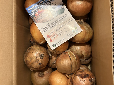 【特別価格】【訳あり】淡路島産玉ねぎ5kg