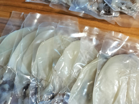 絶品　白いか一夜干し　3枚入り