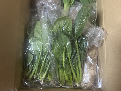 【くさぶえ農園】旬＊お試し野菜セット(6品目)