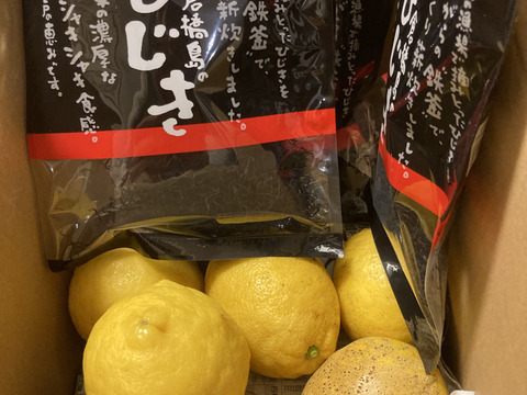 レモン皮ごと使える！いつも通りブログご覧あれ！1.5kg今収穫待ち、いつも通りかえり、ちりめんへの同梱もOK　１４００円