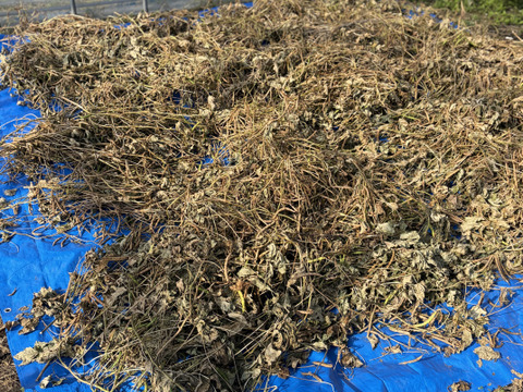 大納言小豆　丹波市産　1kg 自然乾燥　手選別大粒