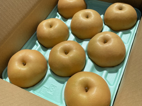 梨っ （ُ م ُ）　南水梨 A品 3kg