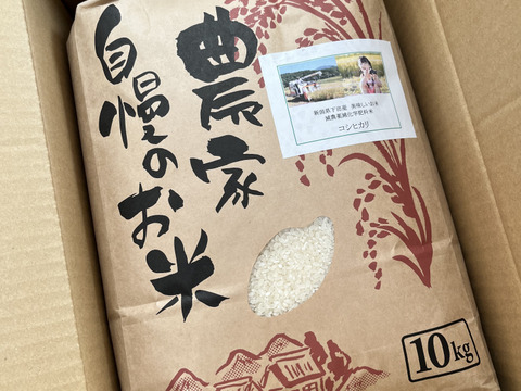 パリコレクション 訳あり＞【令和6産】新潟しただ産コシヒカリ（精米10kg）三等米 米・雑穀・粉類