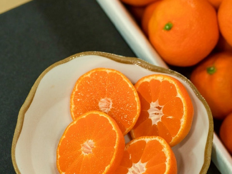 濃厚な味わい山下紅みかん（5㎏）わけあり⁽ちょい大きめ2Lサイズ）