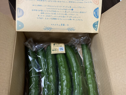 生でそのままガブリ！旨味にこだわった極旨秩父きゅうり良選【特別栽培、約1㎏】