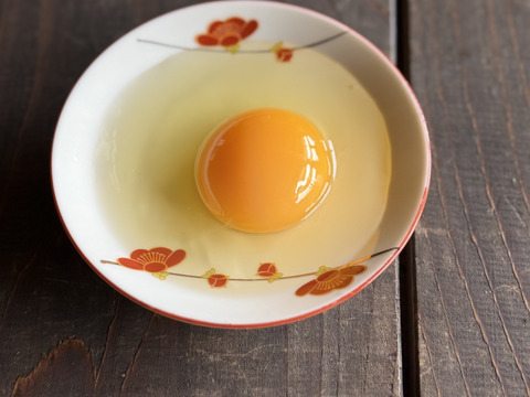 １日数量限定 平飼い『盈月の卵』世界最大級の鶏ブラマの卵6個入り