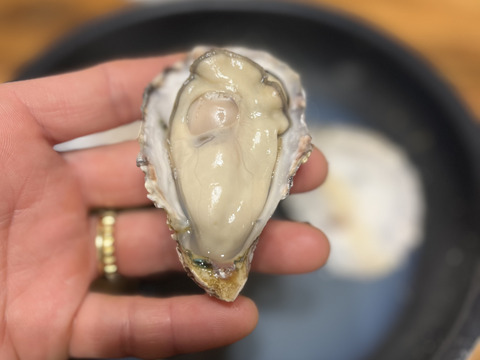 サーディンビーチオイスター　5kg （100個前後）