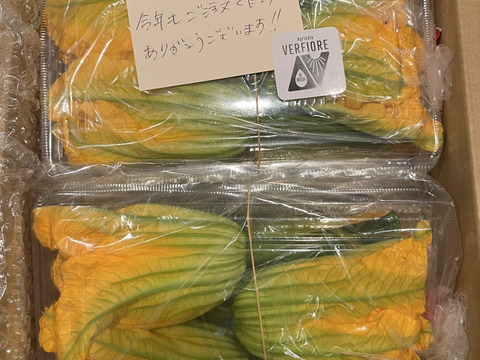 花ズッキーニ【30本】