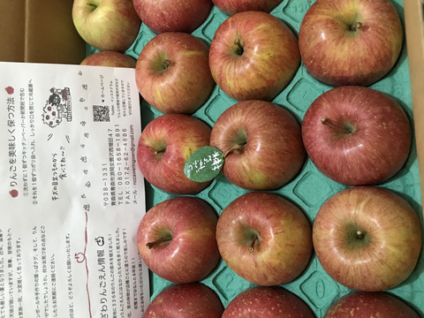 🍎【予約開始】10キロ🍎幸せの完熟葉とらずふじ32玉～48玉 青森りんご リンゴ 商品ID197581