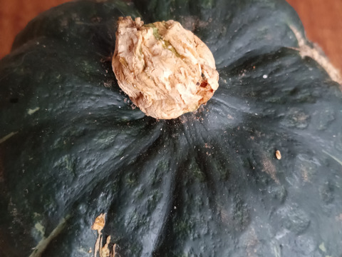 お日持ちセット🎃🧅🥔【数量限定❗❗】子供に食べさせたい（５品目～７品目）😋🍚ばぁばのモノスゴイ野菜🍅🍆🌽✨✨✨