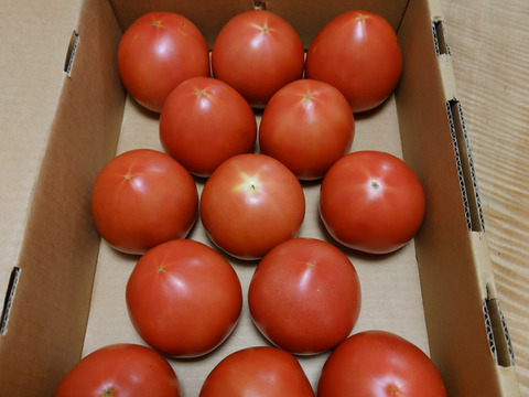 (Sｾｯﾄ）夏の贅沢！清涼感あふれる王道トマト2kg