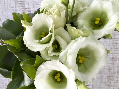 【仏花（メモリアルフラワー）】シキビ&トルコキキョウ！お届け先対応可能！