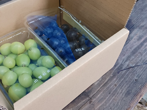 お買い得⭐︎シャインマスカットと黒ぶどう☆のセットを粒で約1kg