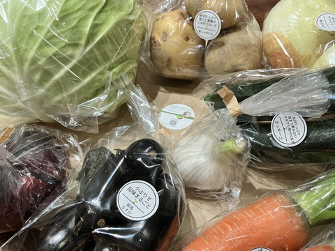 Mサイズ【栽培期間中農薬不使用】季節のお野菜詰め合わせ[6～8品目］
