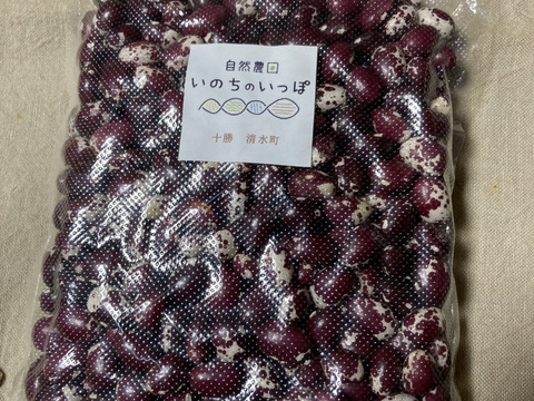 【数量限定】北海道2024年十勝産
珍しい！色々お豆の5種類セット