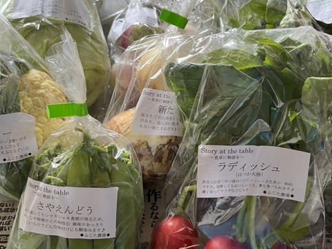 【美味しい野菜をお届けします】　季節の野菜セット『採れTakara☆彡』11品