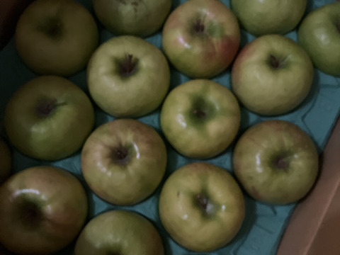 グラニースミス（約4.8㎏）特選　10～23玉
欧米で青りんごといえばこれ　アップルパイにおすすめ