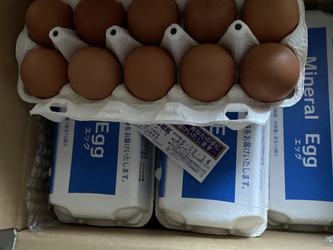 【北海道から】希少な放し飼いコッコの新鮮たまご　10個 × 4パック