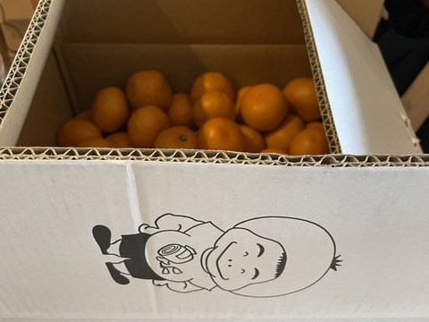 2026年11月発送♪
「かじ坊みかん」 　小粒 10ｋｇ！！
S~3Sサイズ！