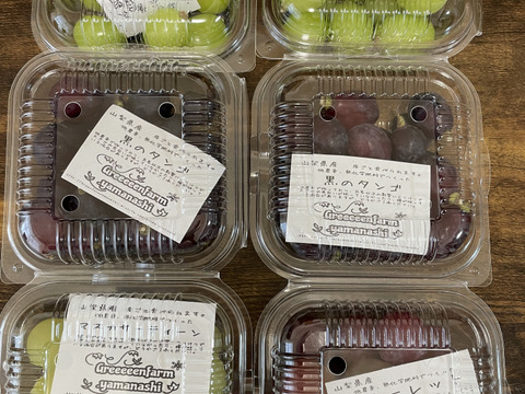 9月からお届け:お得な1.2kg！】ブドウミックス粒200gパック