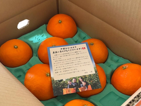 【贈答用】まるで天然ゼリー！まどんな（８～１２玉）