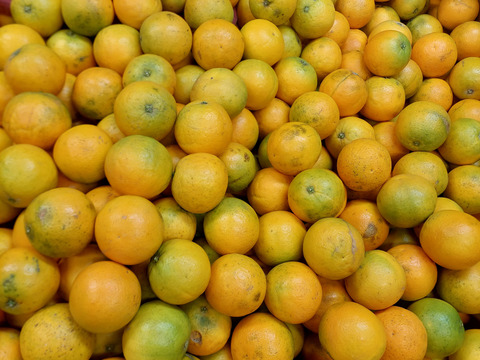 バレンシアオレンジ『サイズ混合』5kg（箱込）